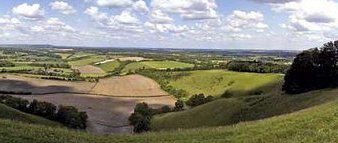 Salisbury Plain 