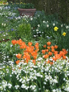 Sissinghurst