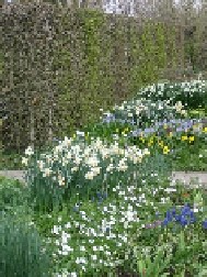 Sissinghurst Gardens