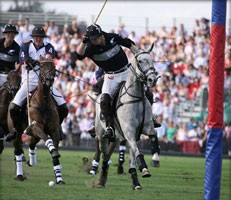 Polo Sporting Event