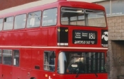 I fami autobus di Londra