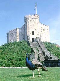 Cardiff Castle in Wales