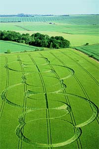 View of Wiltshire Countryside